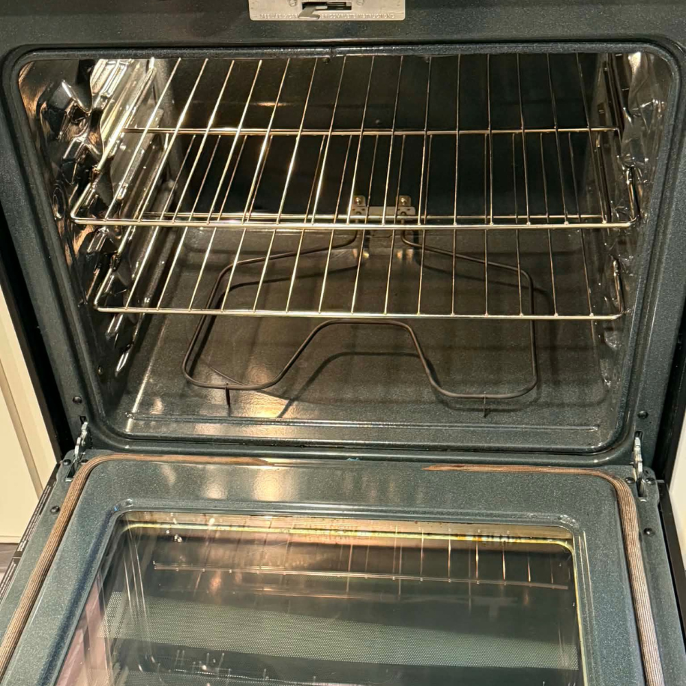 Professional house cleaning